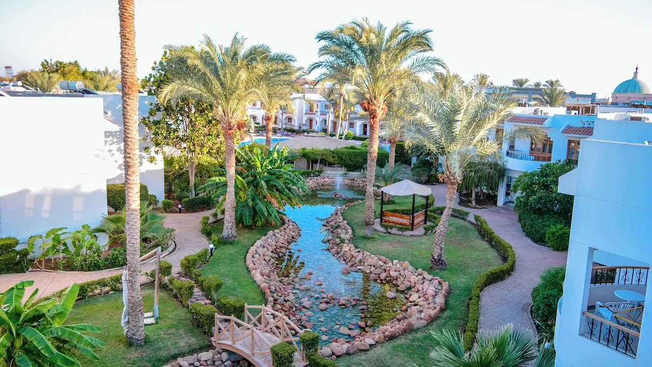 الفندق دايف ان ريزورت - شرم الشيخ